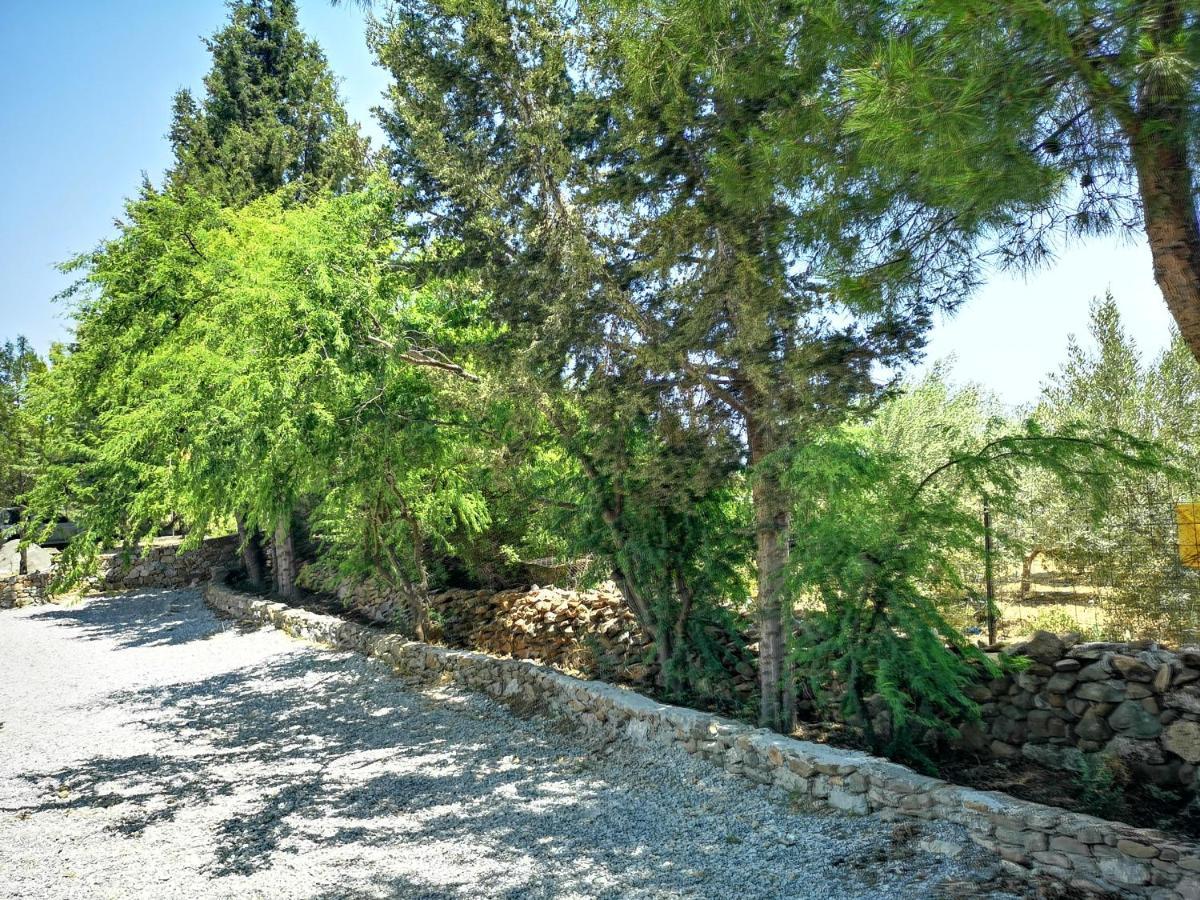 Vila Chrysanthi Villa, Living In Nature Vlicha (Rhodes)